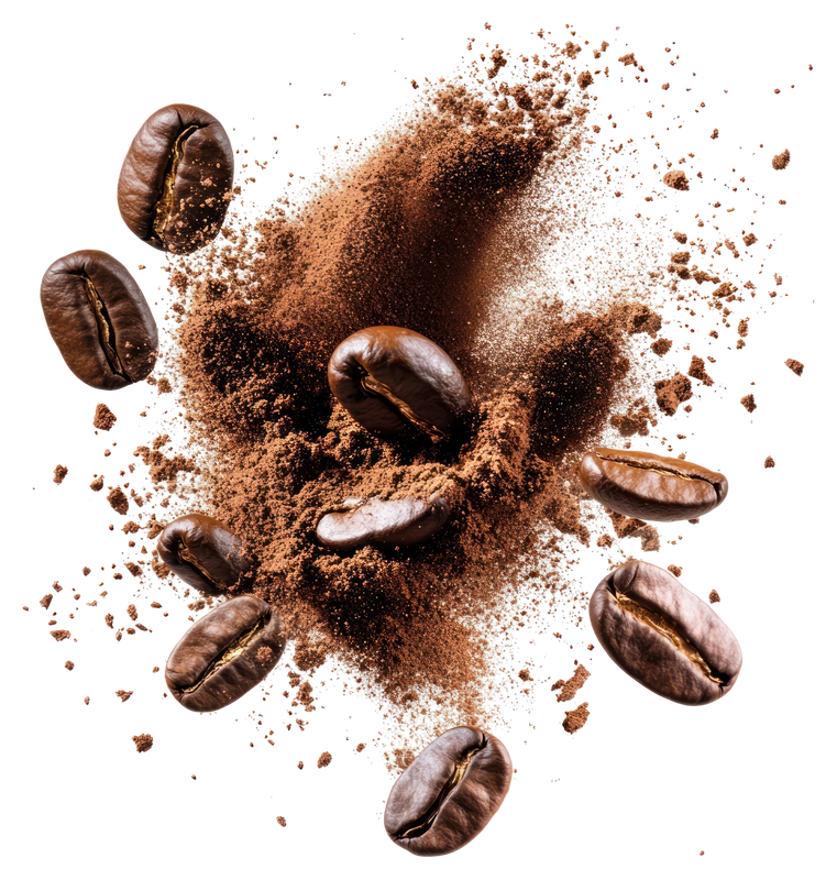Premium Coffee Beans
